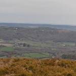 Dartmoor View